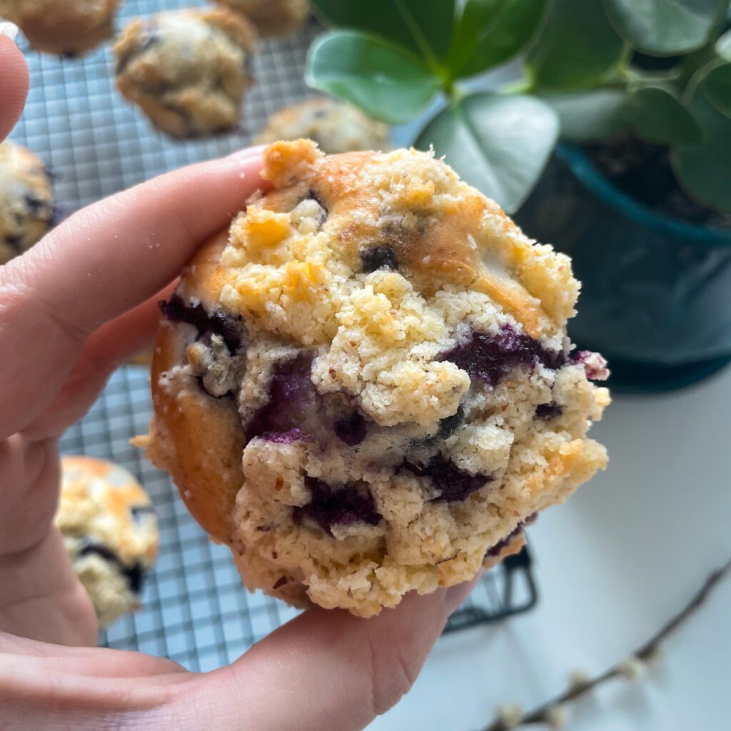 Blaubeermuffins werden auf einem Kuchengitter gezeigt. Ein Muffin wir in die Kamera gehalten.